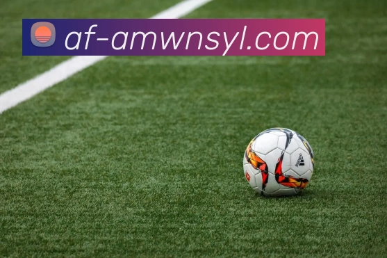 威尼斯人线上娱乐APP 封面图